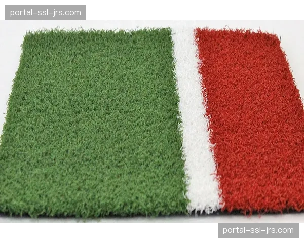 “新波尔多主场将铺设混合草皮，旨在提供更稳定支撑利于滑铲拦截”