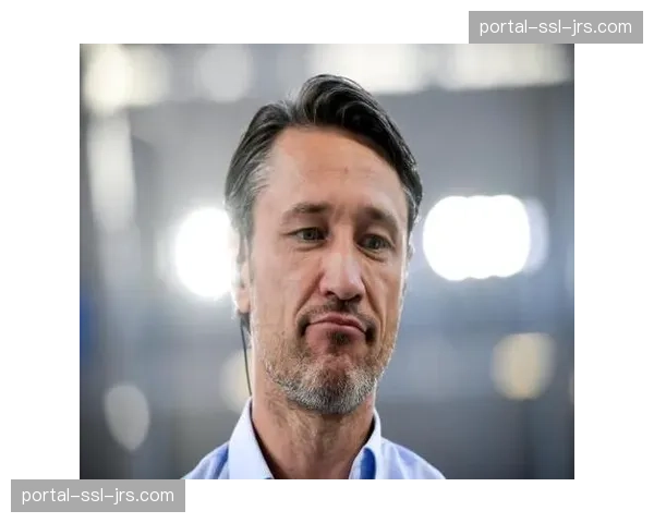 专访国际体育营销公司高管：解读德甲品牌在全球体育营销市场中的位置